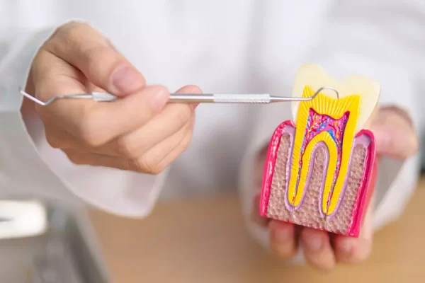 Best Dental Clinic in Edappally | Dental care kochi